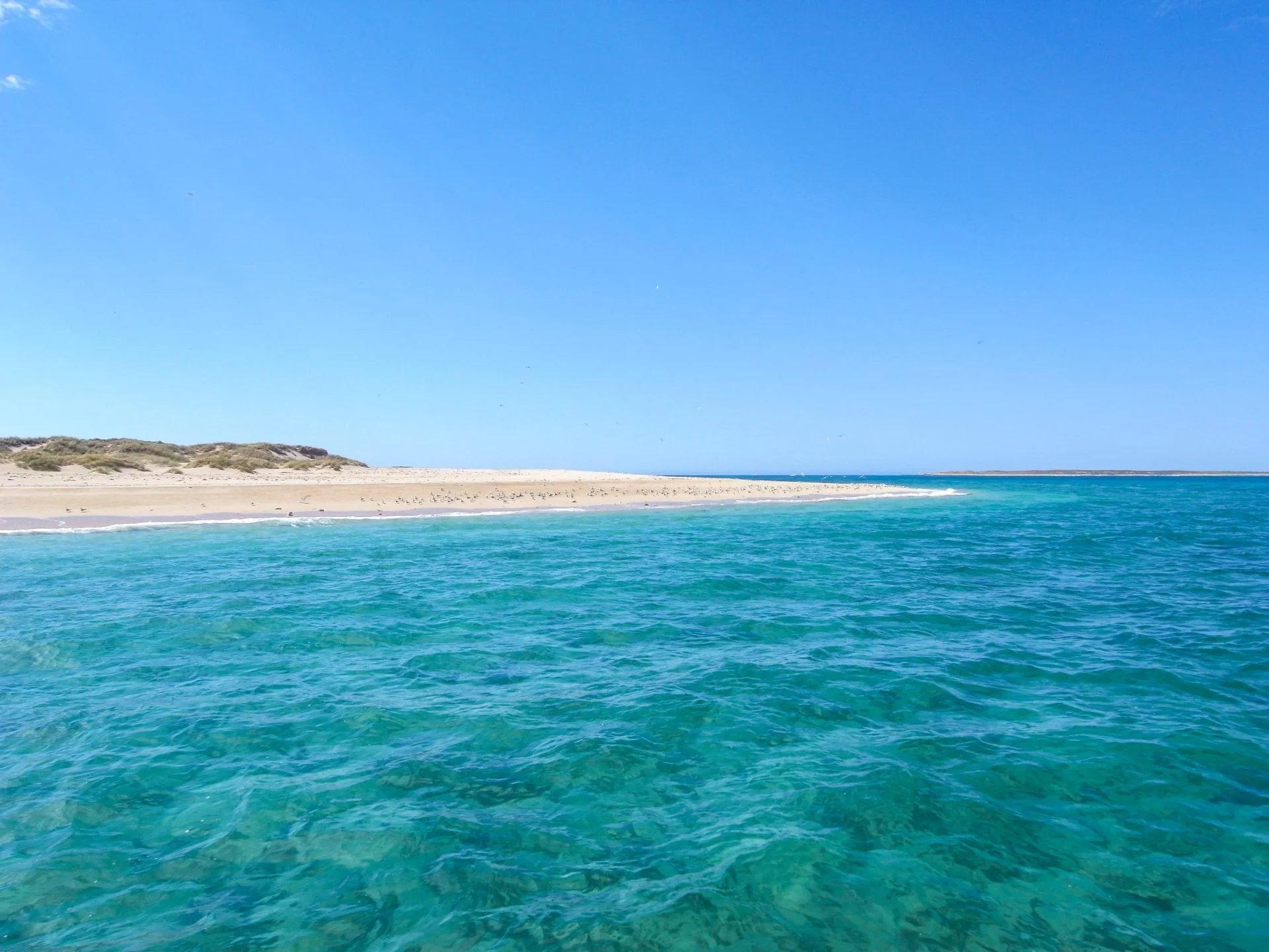 Non-certified diver trying scuba on the Ningaloo Reef westside