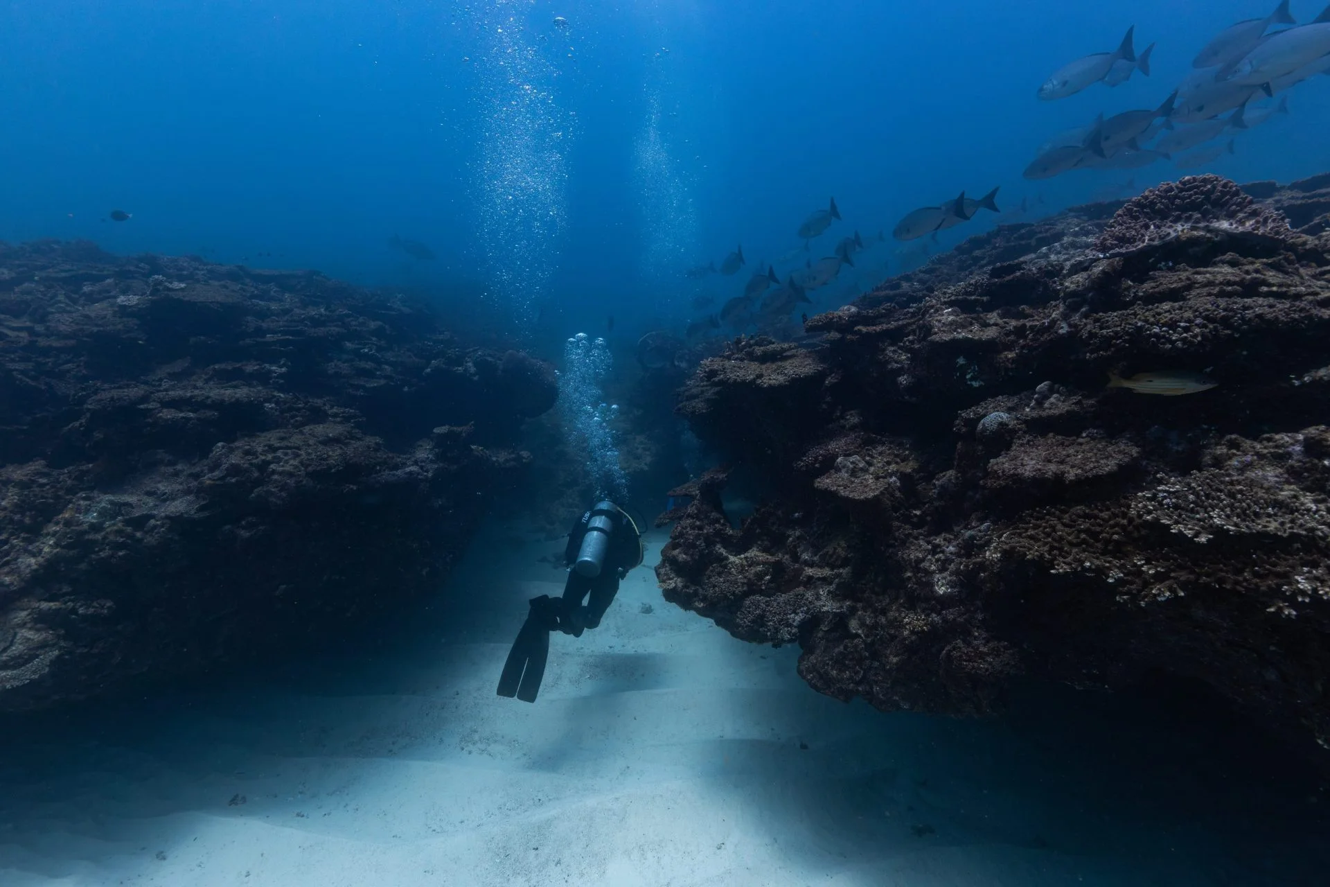 Diver swimming through a reef channel with fish overhead