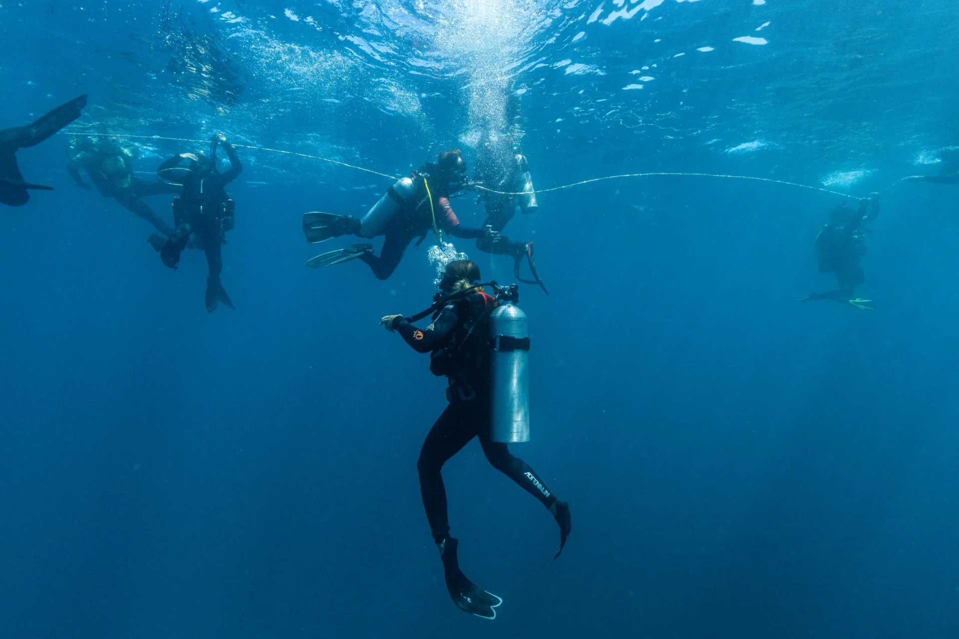Divers descending along a line beneath the boat