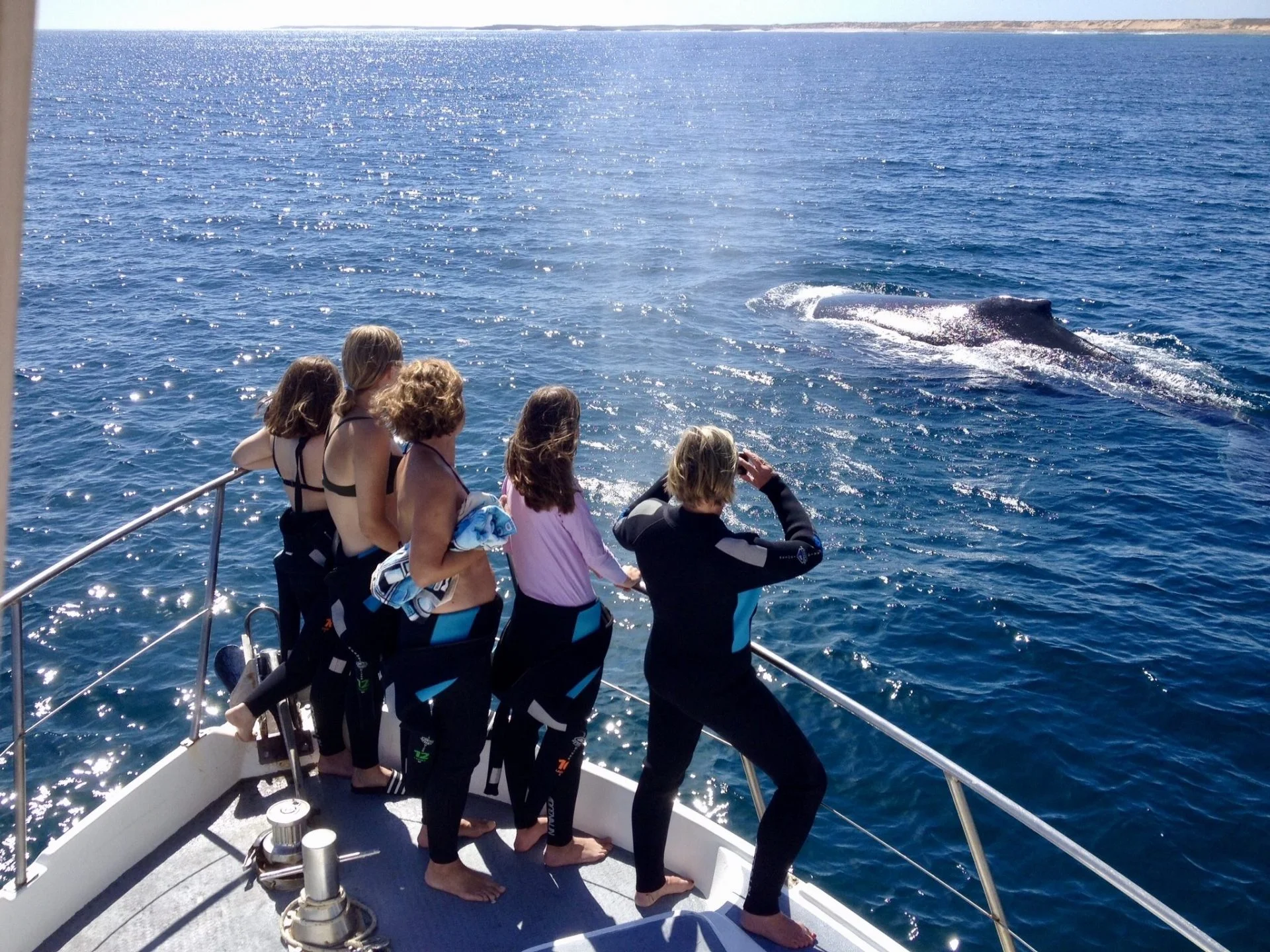 Guests on the bow of the Dive Ningaloo boat watching a humpback whale
